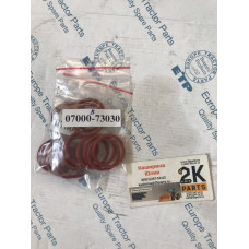 o-ring